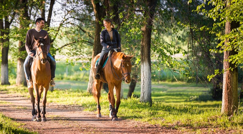 Jojimo klubas "Night rider"