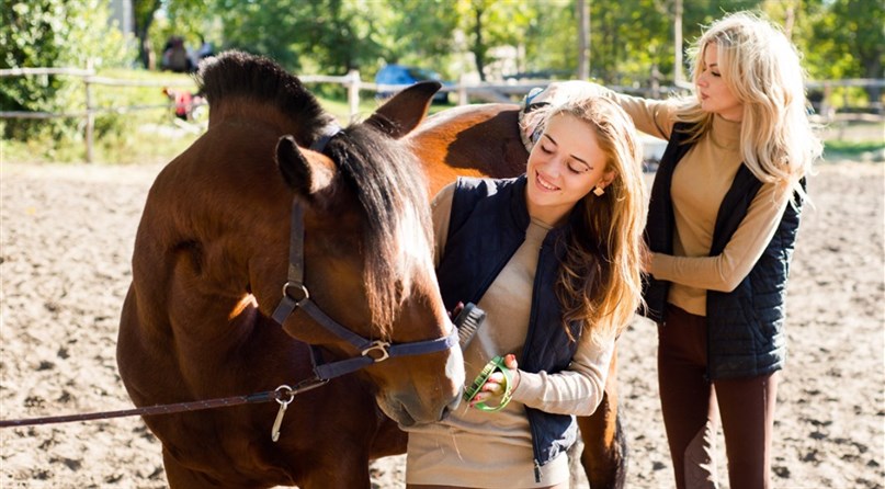 Laisvalaikio Žirgai