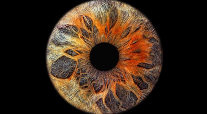 Eye2Eye Kaunas