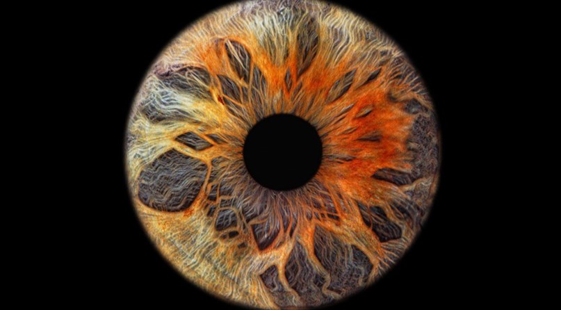 Eye2Eye Vilnius
