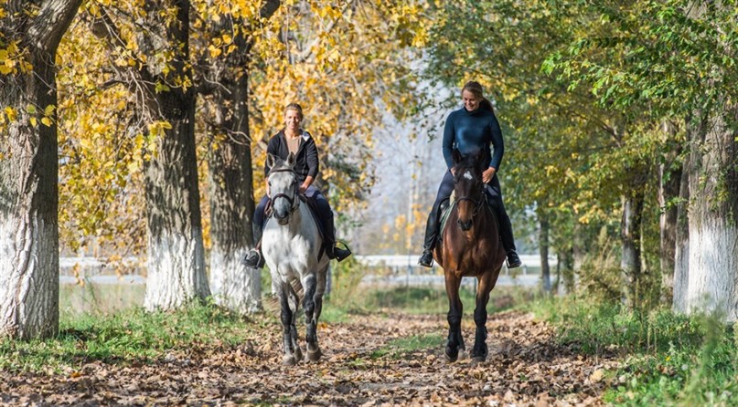 Laisvalaikio Žirgai