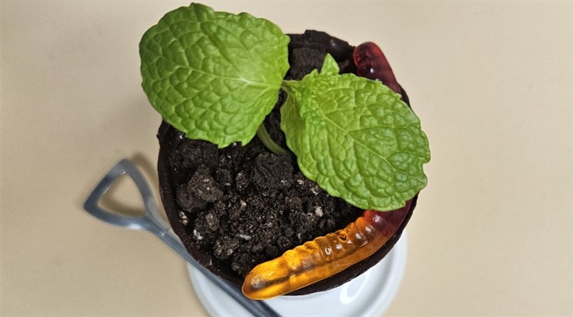 Šokoladinė "Saldita"