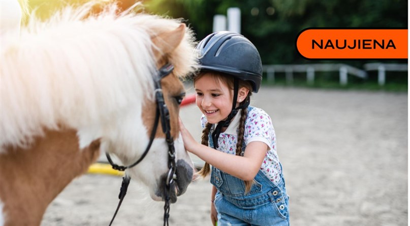 Jojimo klubas "Night rider"