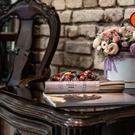 Plaukų Fėja Dovilė