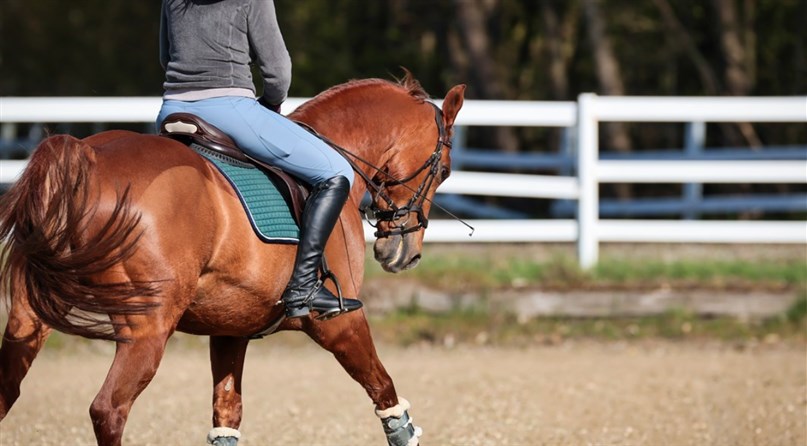 Jojimo klubas "Night rider"