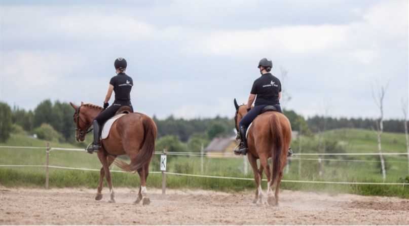 Laisvalaikio Žirgai