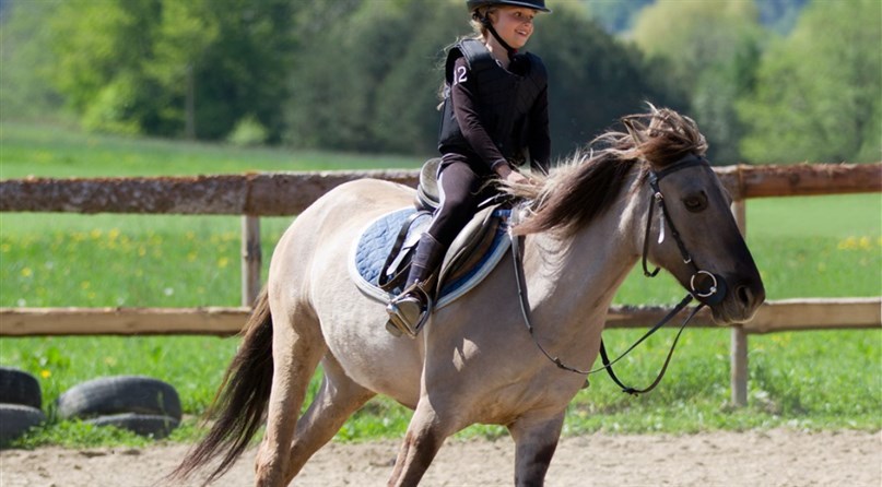 Jojimo klubas "Night rider"