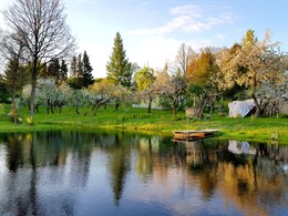 Miško sanatorija