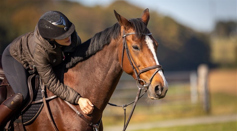 Jojimo klubas "Night rider"