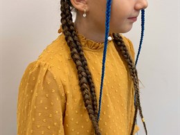E.F Braiding