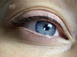 Mikropigmentacijos meistrė Klaipėdoje