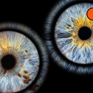 Eye2Eye Vilnius