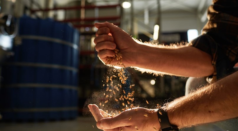 Alaus darykla „Leičių Memelhaus“