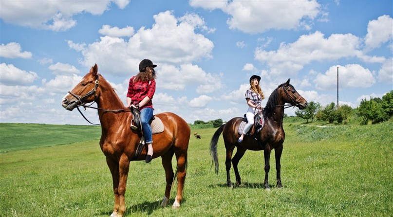 Laisvalaikio Žirgai